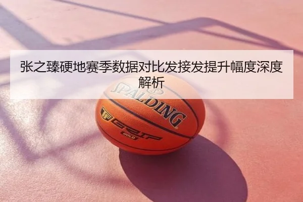 张之臻硬地赛季数据对比发接发提升幅度深度解析